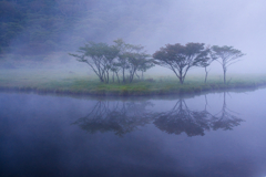 幻想に浮かぶ