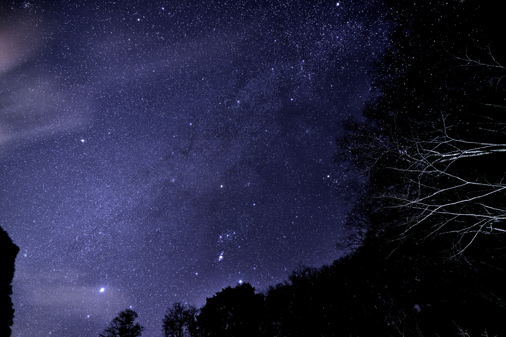 星降る夜