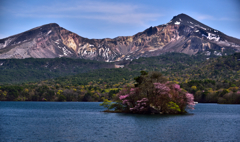 桜島従え