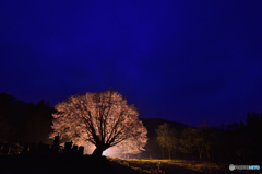 里山の灯