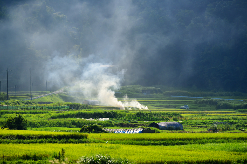 山里