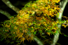 DSC01289