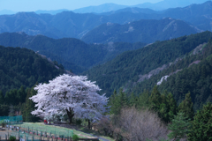 里山の春