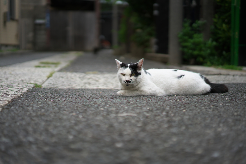 DSC04327