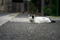 DSC04327