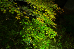 DSC01328