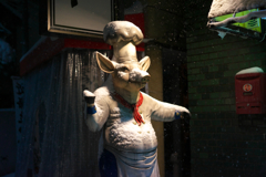 DSC02195