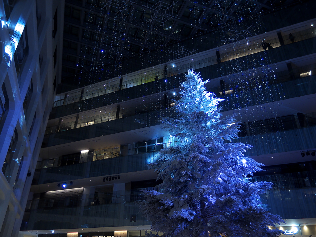 white　tree