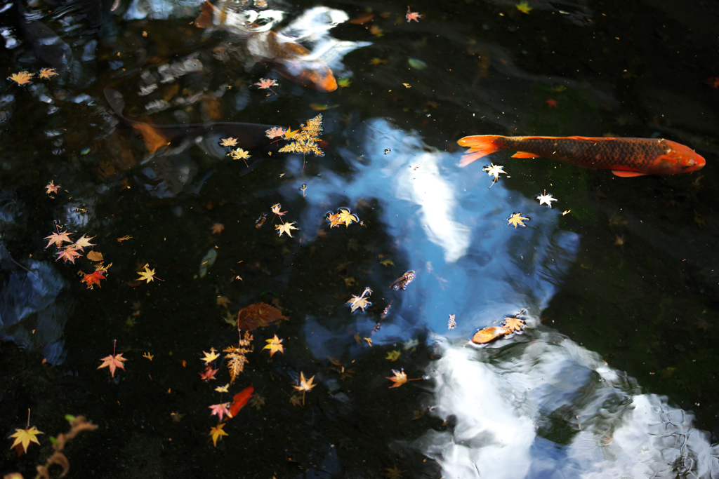 DSC01710