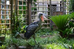 DSC_8374-2