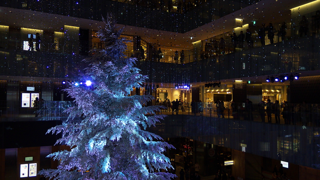 KITTE TREE