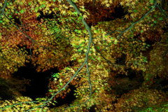DSC01298
