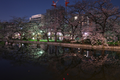 水辺夜桜Ⅲ