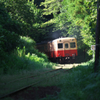 DSC04503