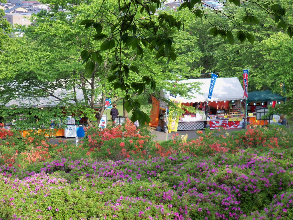 公園屋台　中望遠
