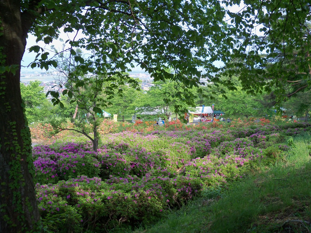 公園屋台ワイド端