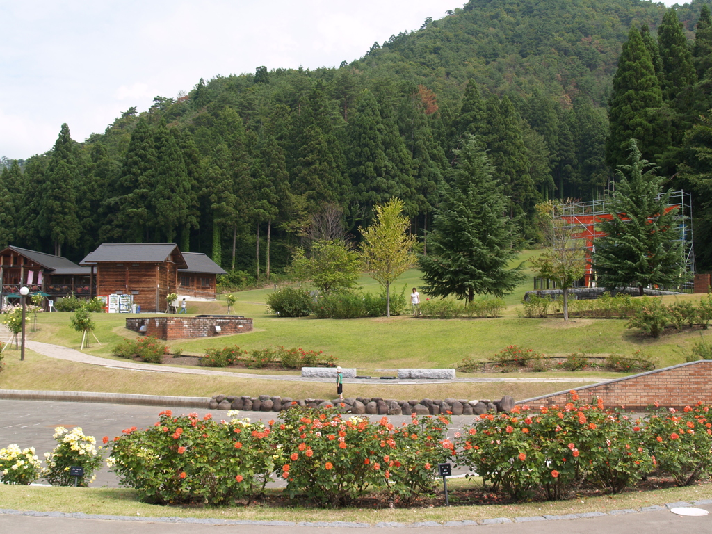 バラ公園散策3