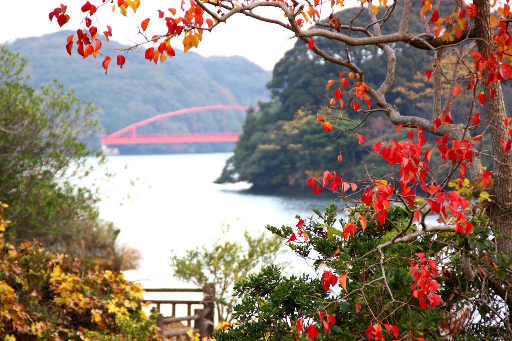 頓田貯水池