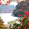 頓田貯水池