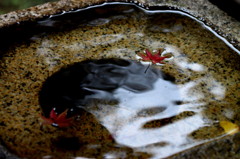 水面と紅葉