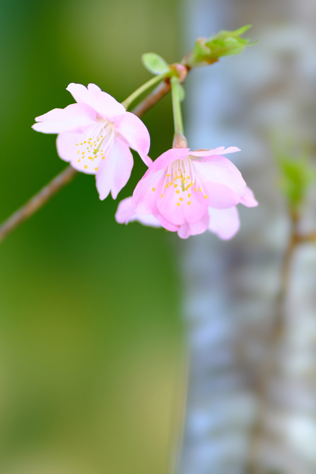日向ぼっこ