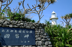 田皆岬