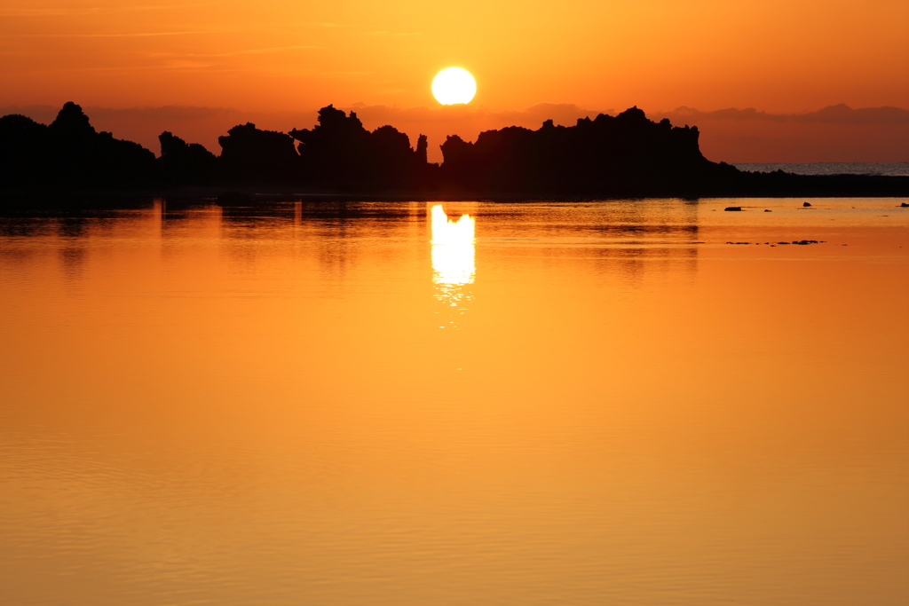 Orange day