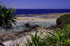 夏色　１５
