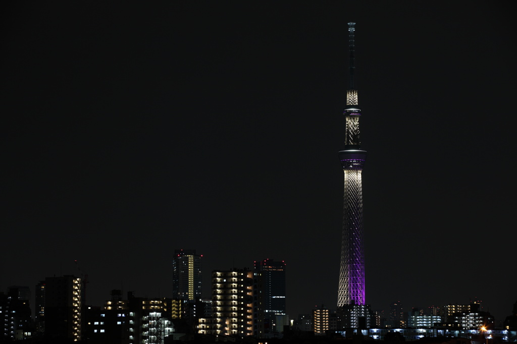 スカイツリー_1