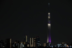 スカイツリー_1