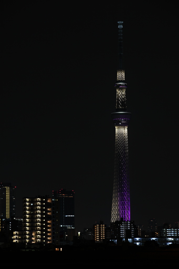 スカイツリー_2