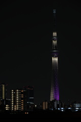 スカイツリー_2