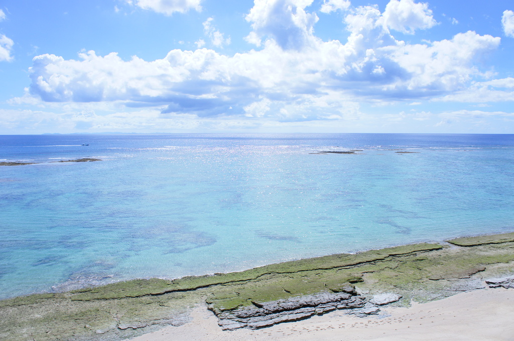 海