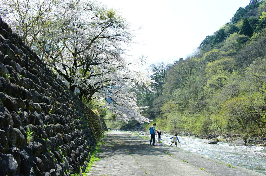 お花とって。