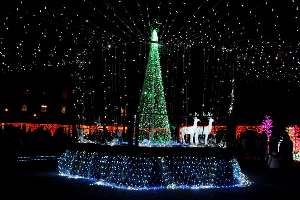 神戸イルミナージュ 2011 No.2