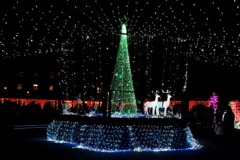 神戸イルミナージュ 2011 No.2