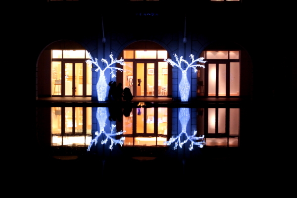 神戸イルミナージュ 2011 No.5