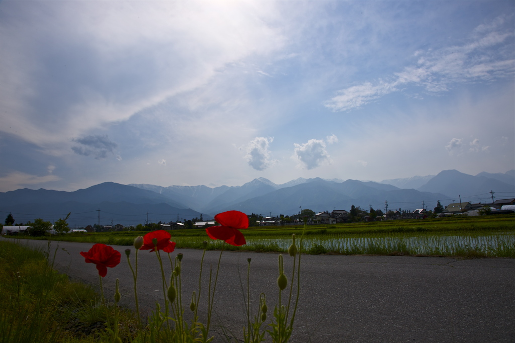 五月の風景