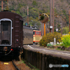 大井川鉄道急行さくら号