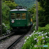 箱根登山鉄道