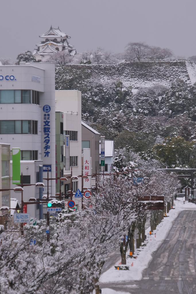 彦根駅から　雪の彦根城