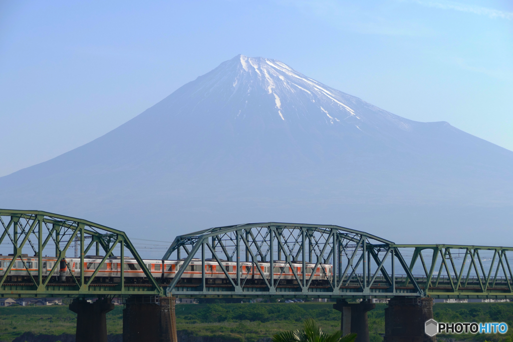 313系