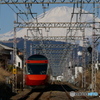GSEと富士山