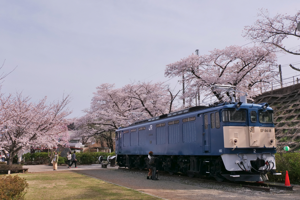 2024勝沼ぶどう郷の春