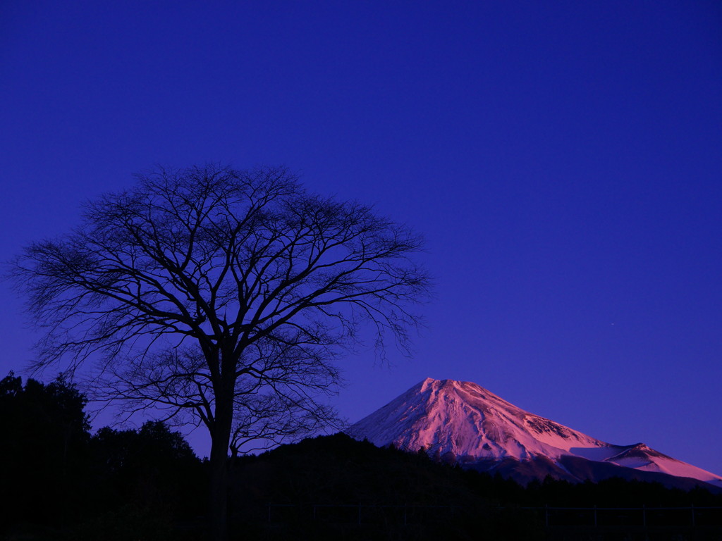 早朝富士山