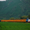 機関車トーマス＠大井川鉄道