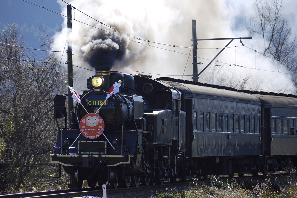 大井川鉄道C11-190　謹賀新年