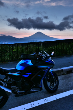 富士山とﾆﾝｼﾞｬ250