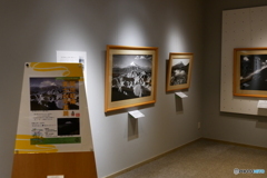 岡田紅葉富士山写真展