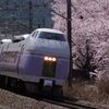 2010　桜とスーパーあずさ　＠勝沼